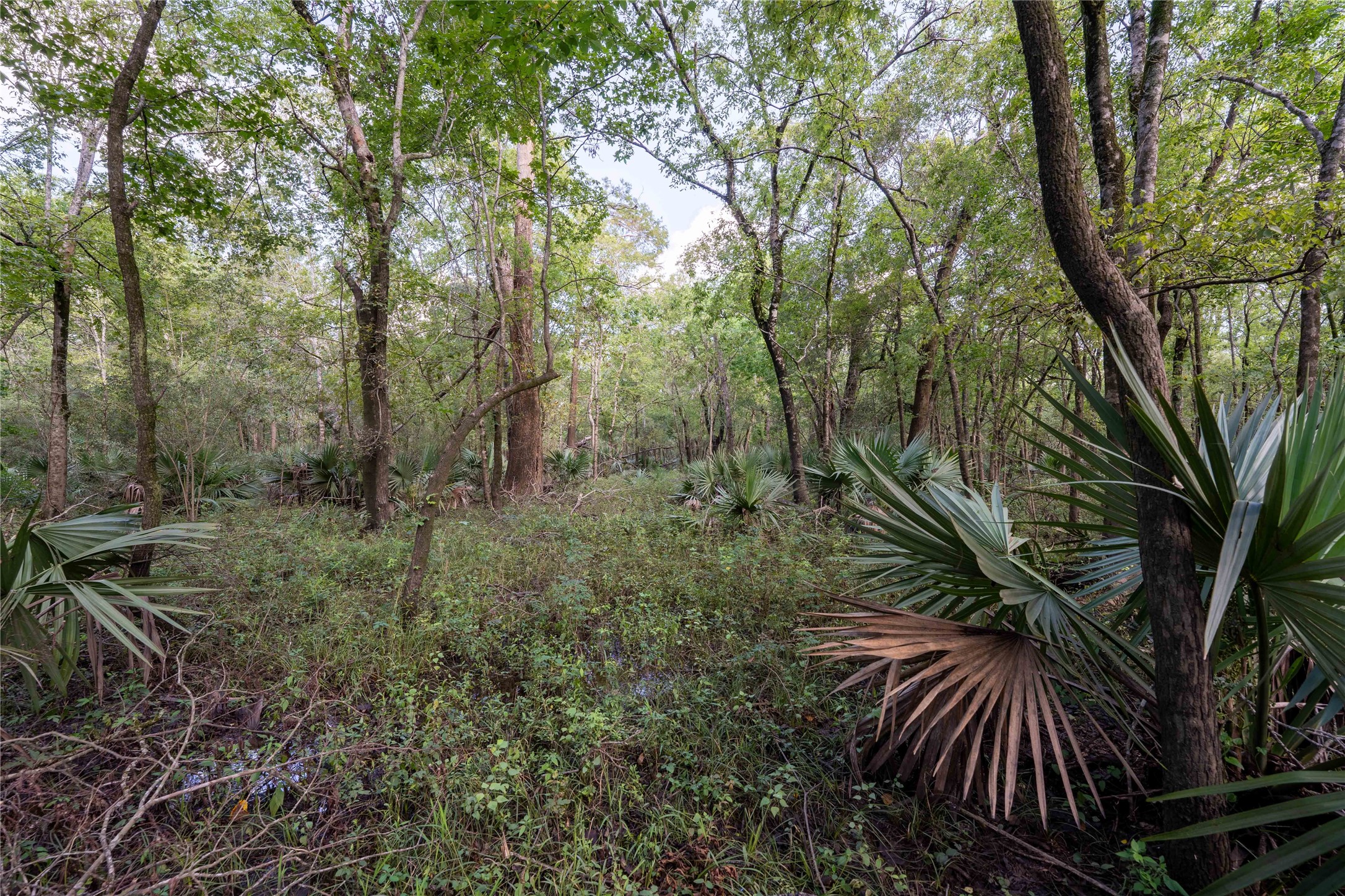 11623-11625 Cool Shadows Lane Houston, TX 77044 - Photo 6 of 7