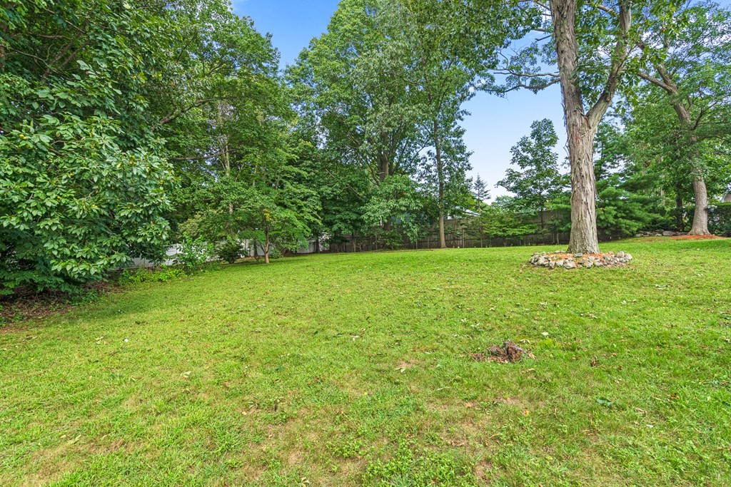 8 Randolph Road Stoneham, MA 02180 - Photo 6 of 38 Gallery Image 6