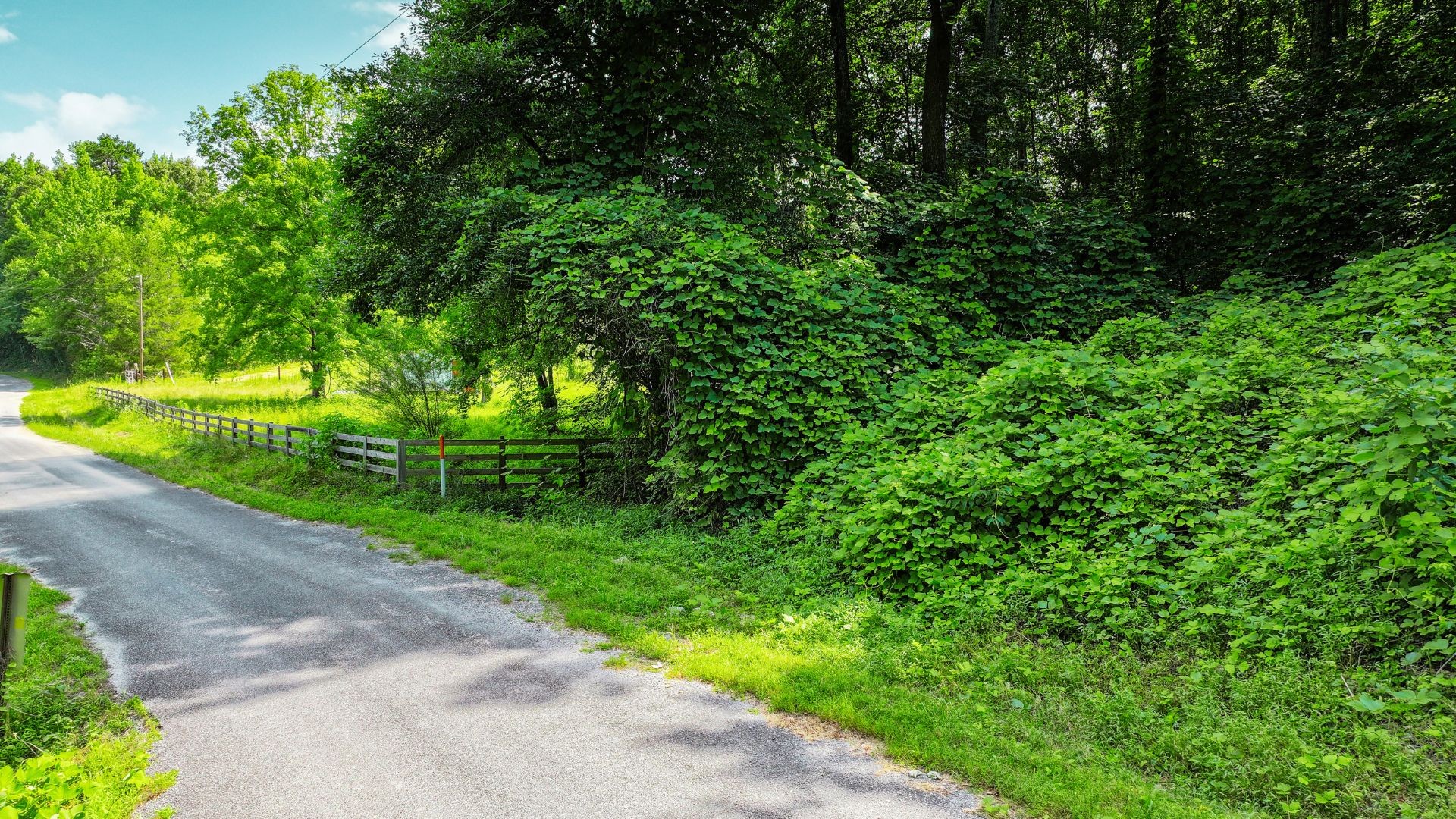 0 Davis Hollow Road Minor Hill, TN 38473 - Photo 8 of 23