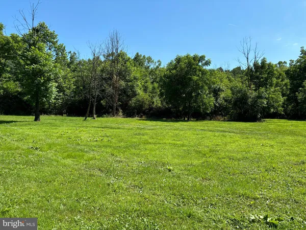 a view of a field with trees in the background
