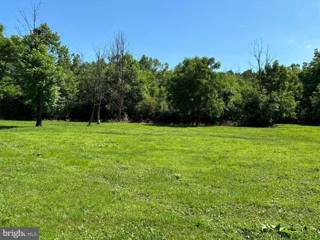 a view of a field with trees in the background