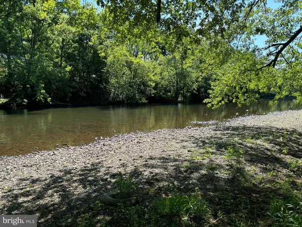 a view of a large body of water with a large tree