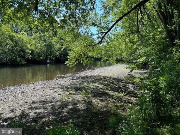 a view of a lake with a forest
