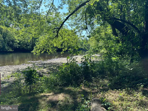 a view of a large body of water surrounded by trees