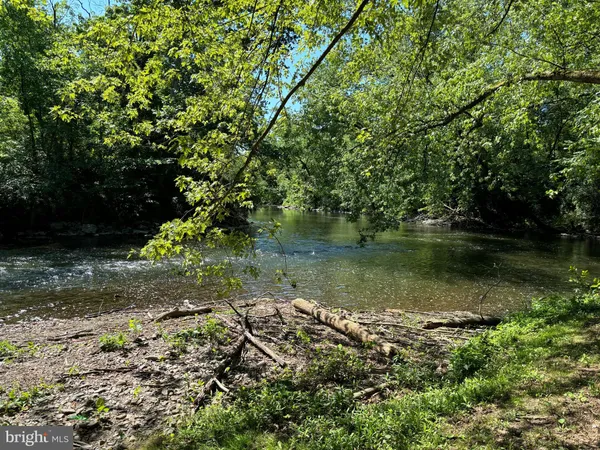 a view of a lake with a tree