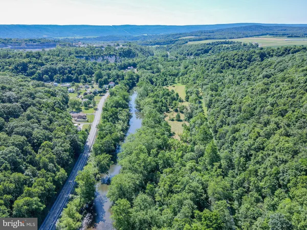 a view of a lush green forest with trees and some houses