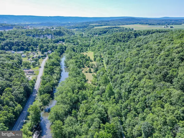 a view of a city with lush green forest