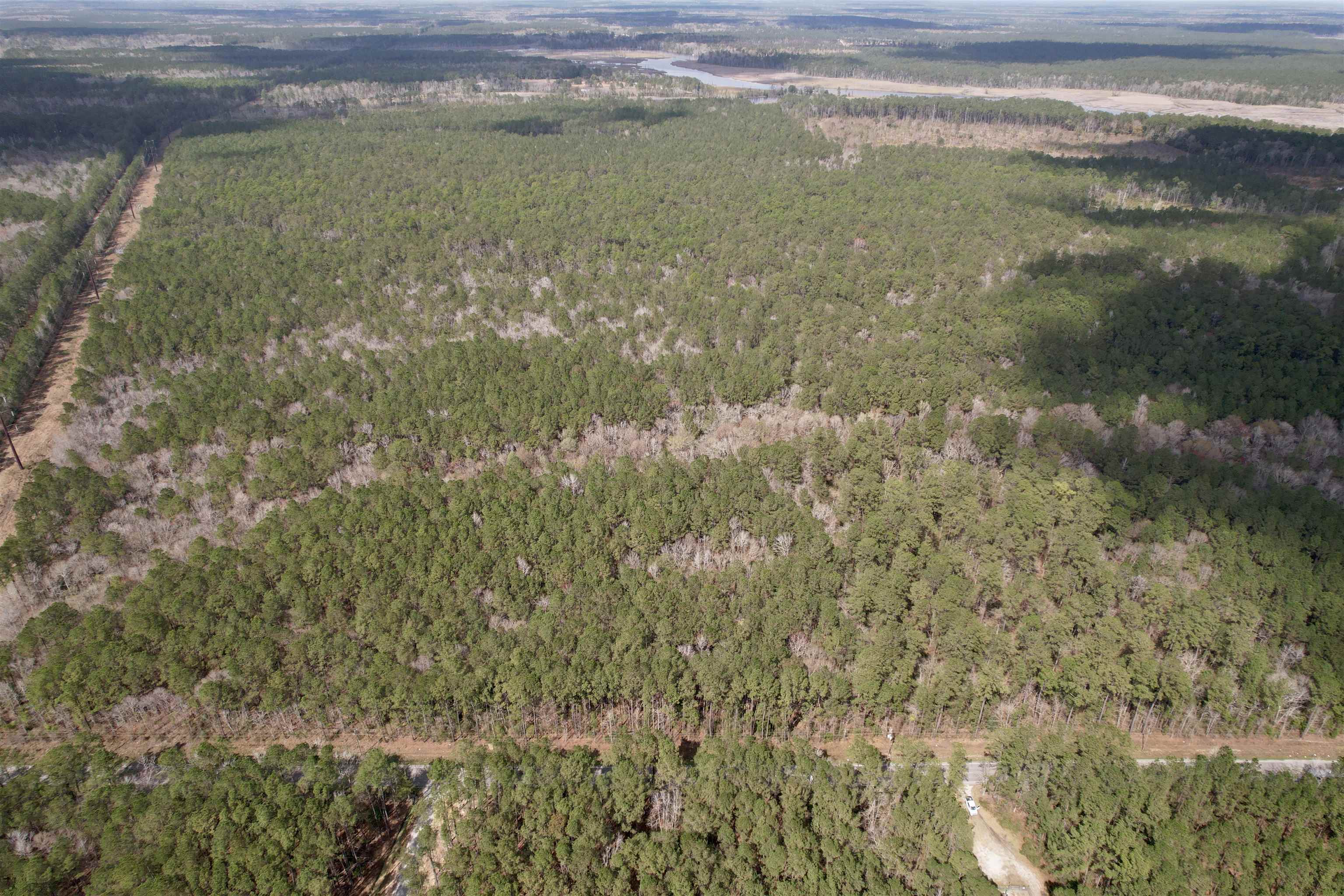 Tract B - Tbd Tract B - Tbd Pennyroyal Road Georgetown, SC 29440 - Photo 6 of 23