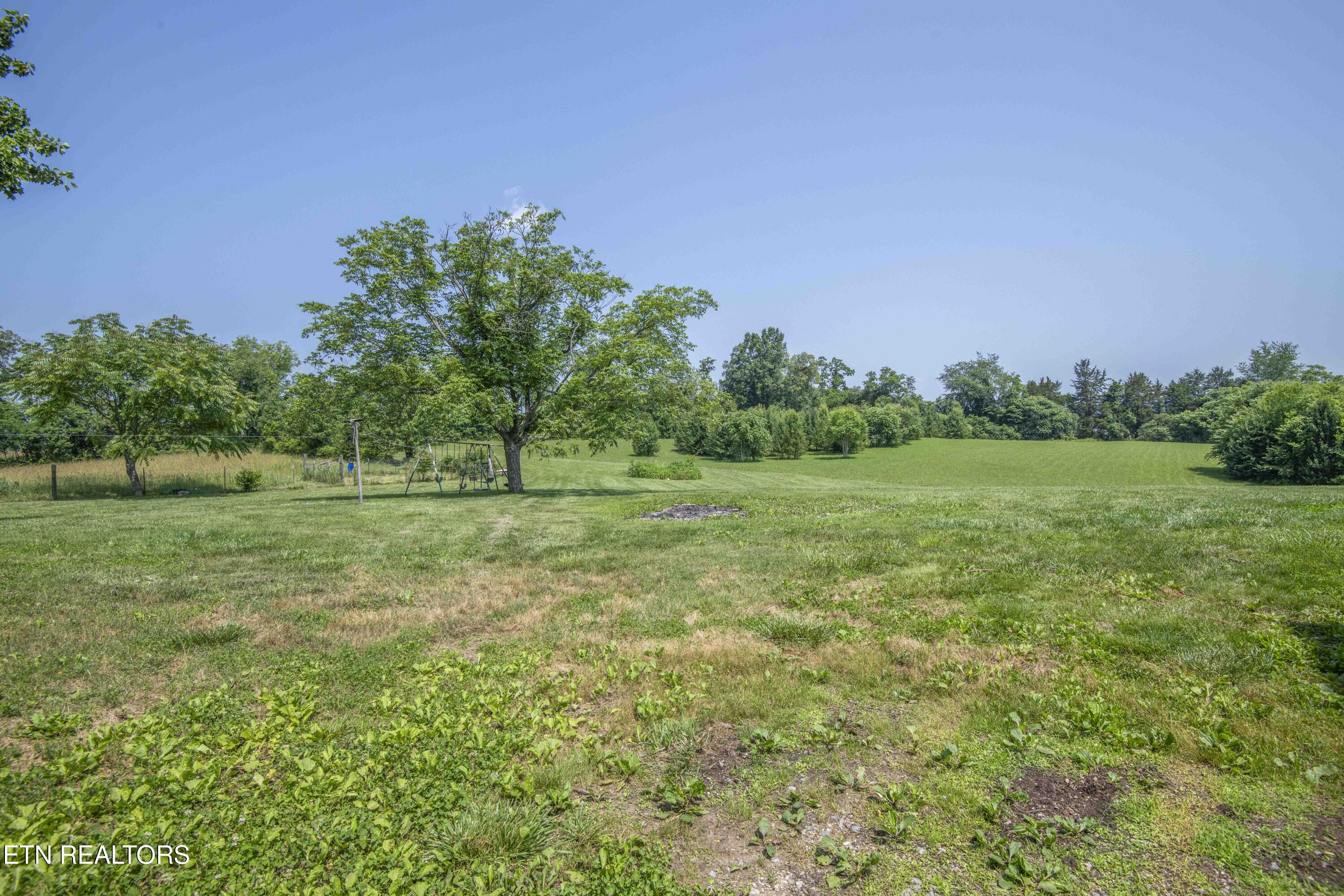 1844 Jackson Road Rutledge, TN 37861 - Photo 36 of 41 YARD