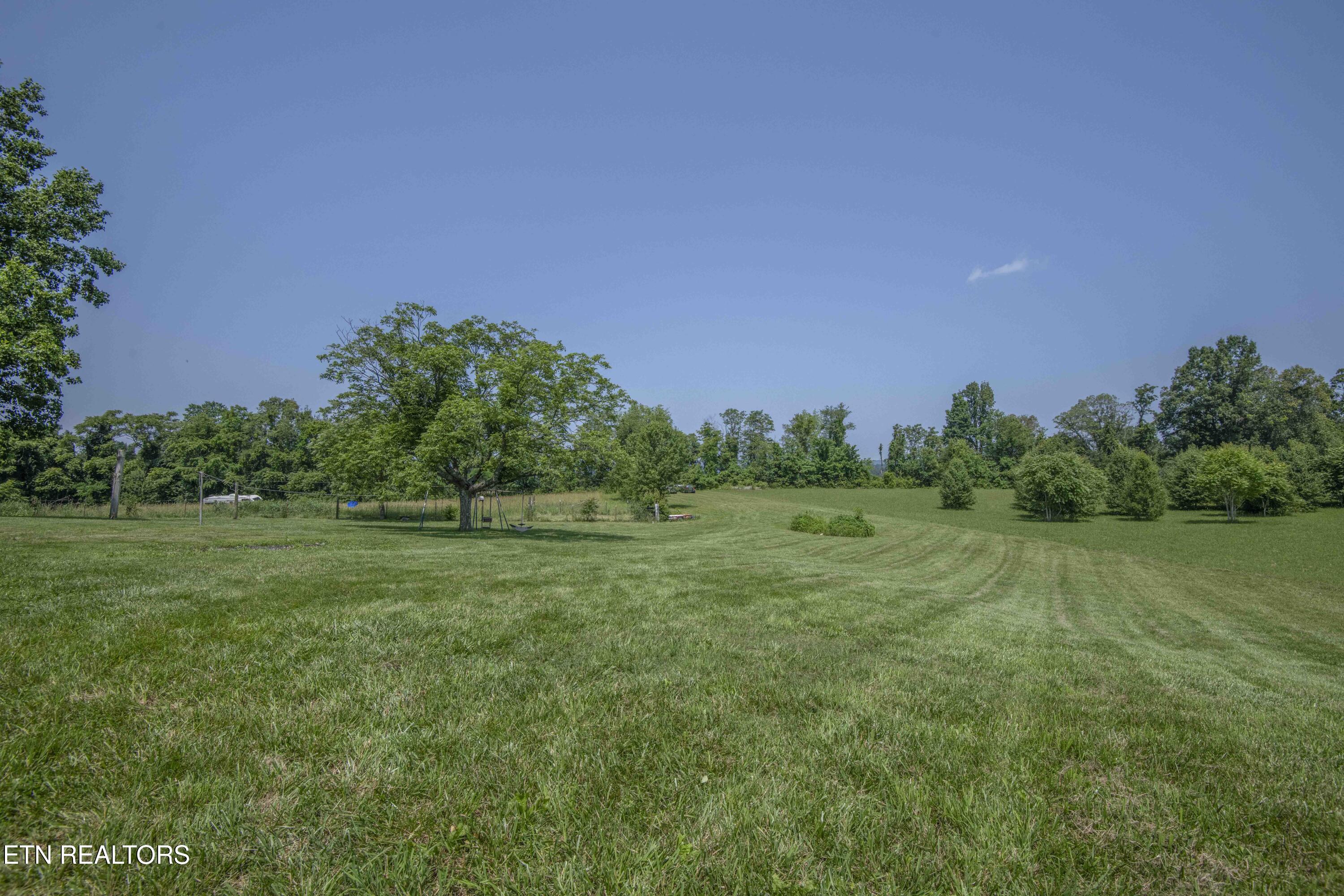 1844 Jackson Road Rutledge, TN 37861 - Photo 38 of 41 YARD