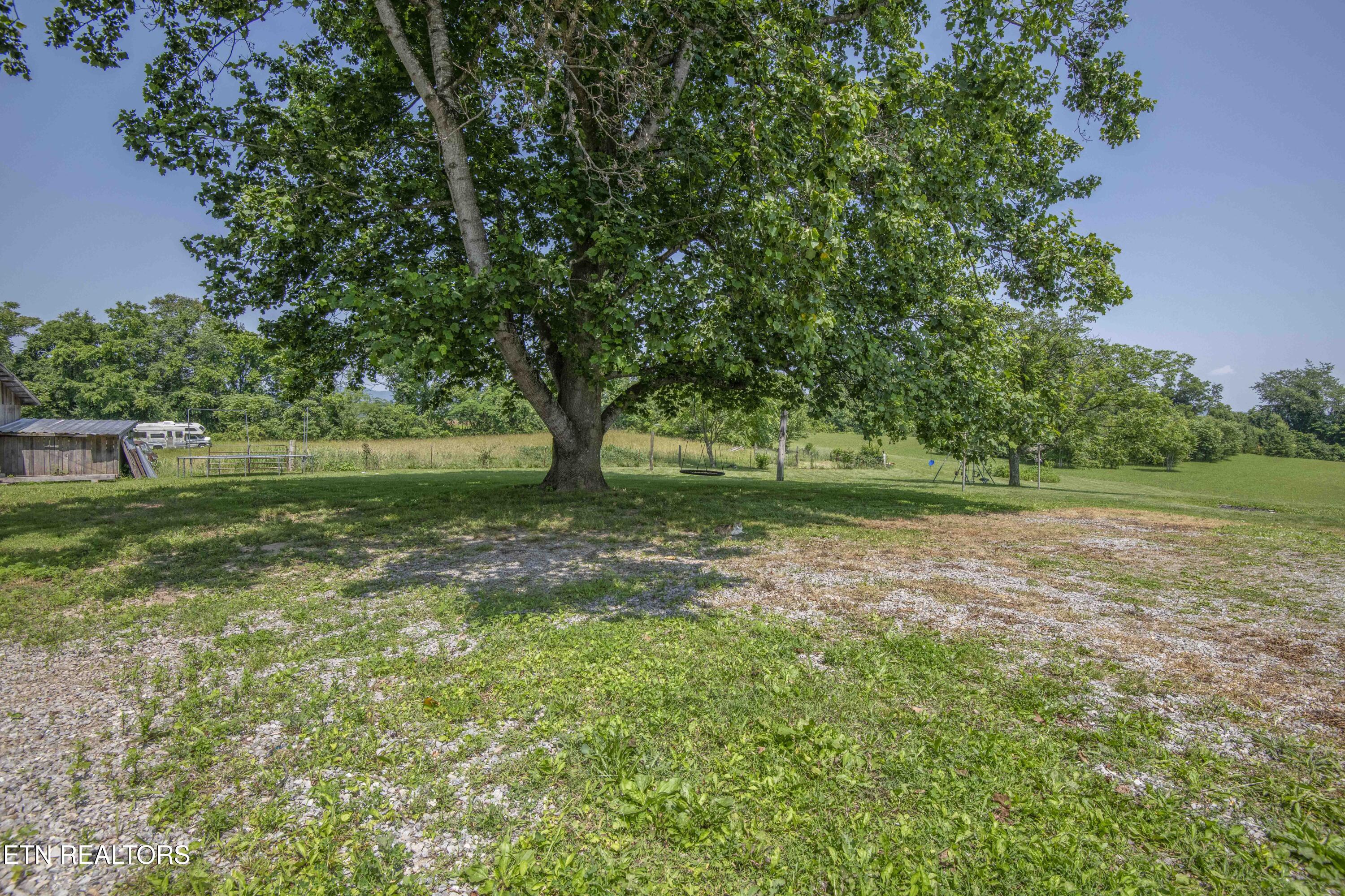 1844 Jackson Road Rutledge, TN 37861 - Photo 41 of 41 YARD
