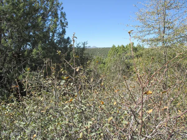 $115,000 | 404 South Canpar Way, Unit 76, Payson, AZ 85541