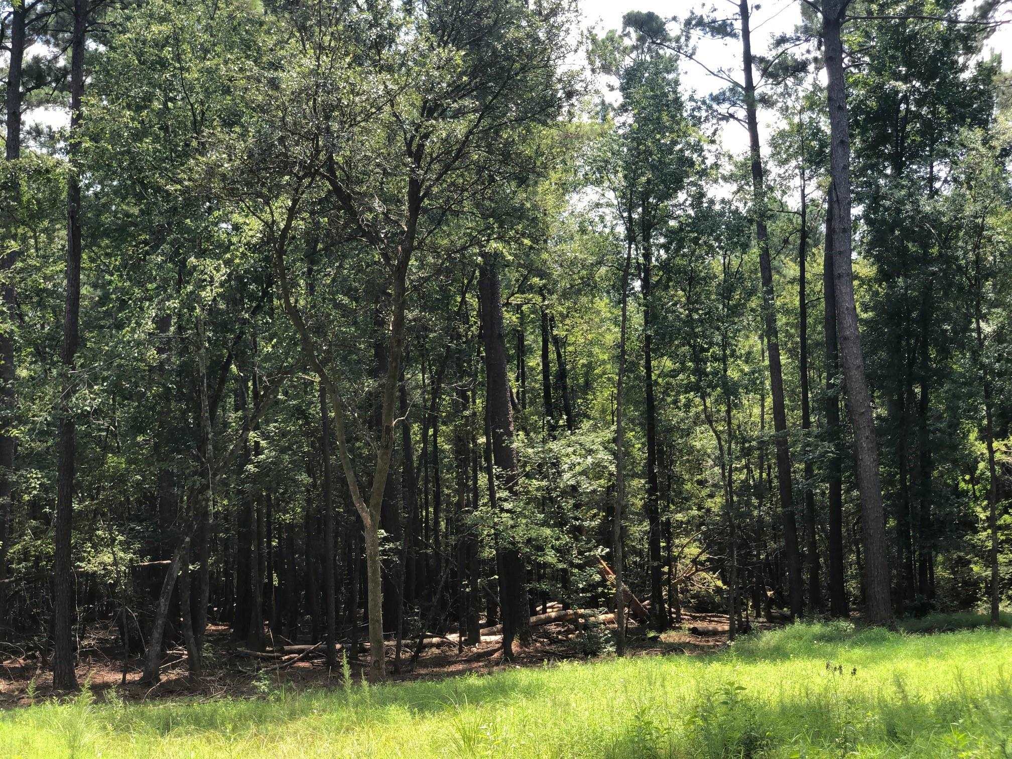 10280 Old Stage Road Stockton, AL 36579 - Photo 5 of 9
