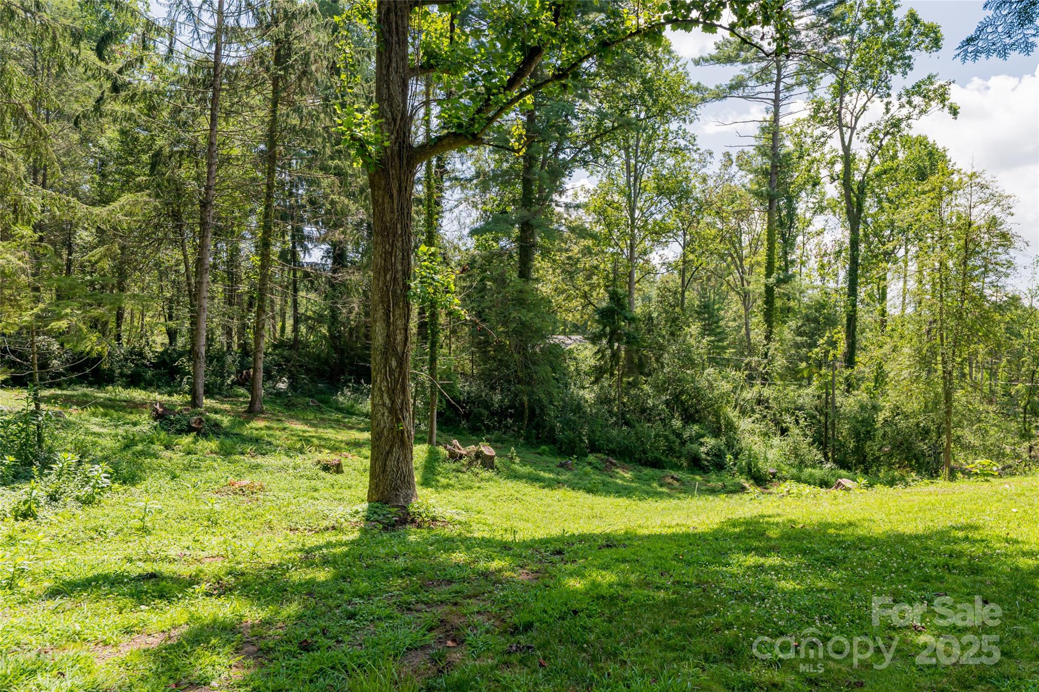 426 Vanderbilt Road Asheville, NC 28803 - Photo 44 of 46