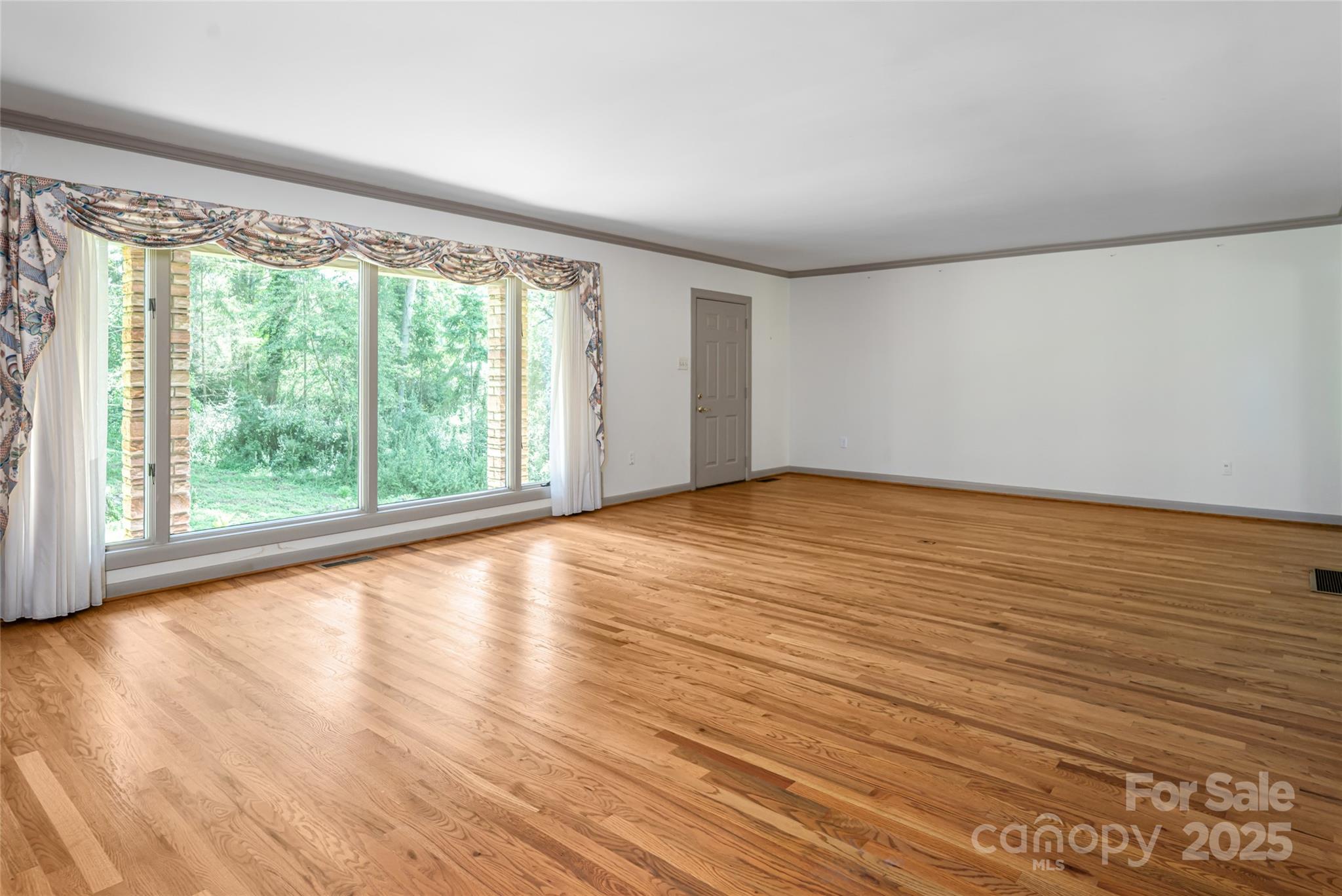 426 Vanderbilt Road Asheville, NC 28803 - Photo 5 of 46