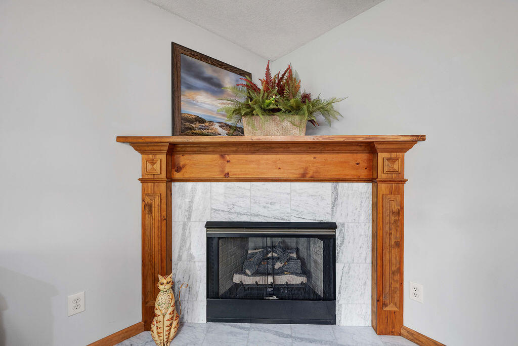 4440 Keith Road Ringgold, GA 30736 - Photo 18 of 92 Fireplace in Primary BR