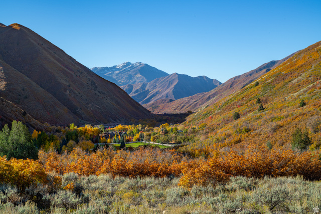541 South Left Fork East, Unit 8 Springville, UT 84663 - Photo 23 of 35 View of mountain background