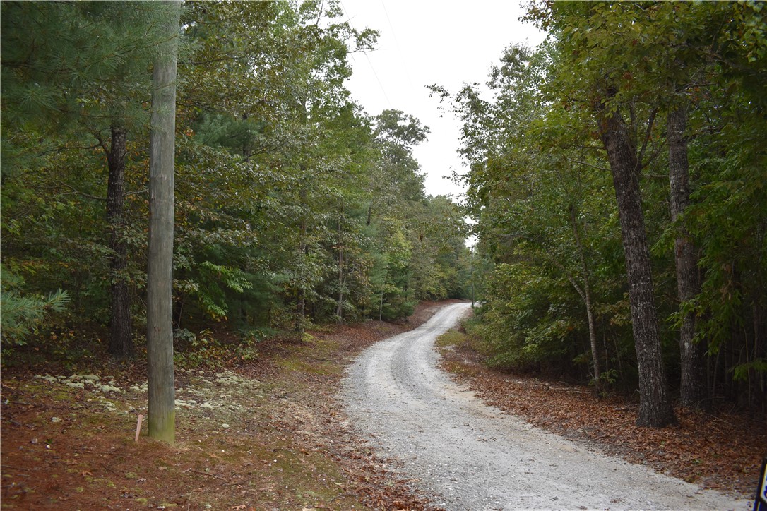 0 Coyote Ridge Walhalla, SC 29691 - Photo 3 of 6 Gallery Image 3