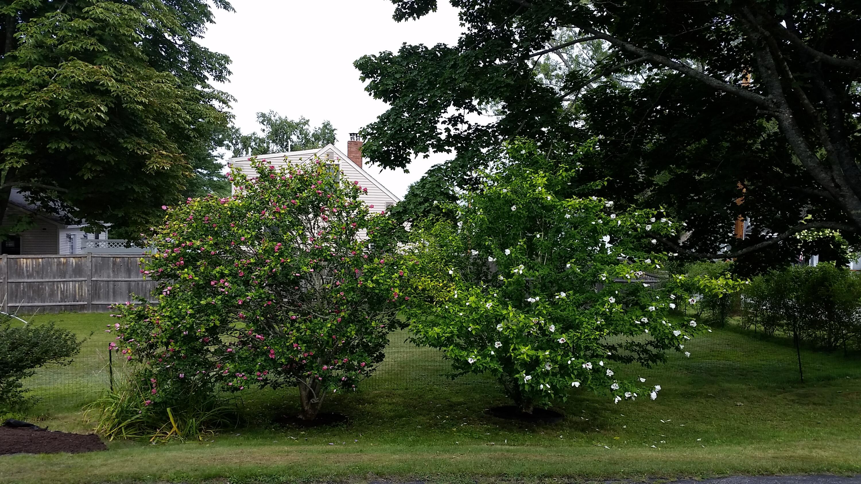 12 Ocean View Road Scarborough, ME 04074 - Photo 63 of 82 12OceanView-Rose-Sharon