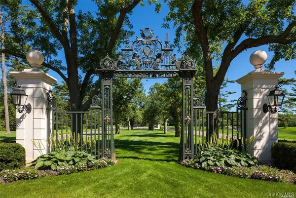 a view of a park that has a tree in it