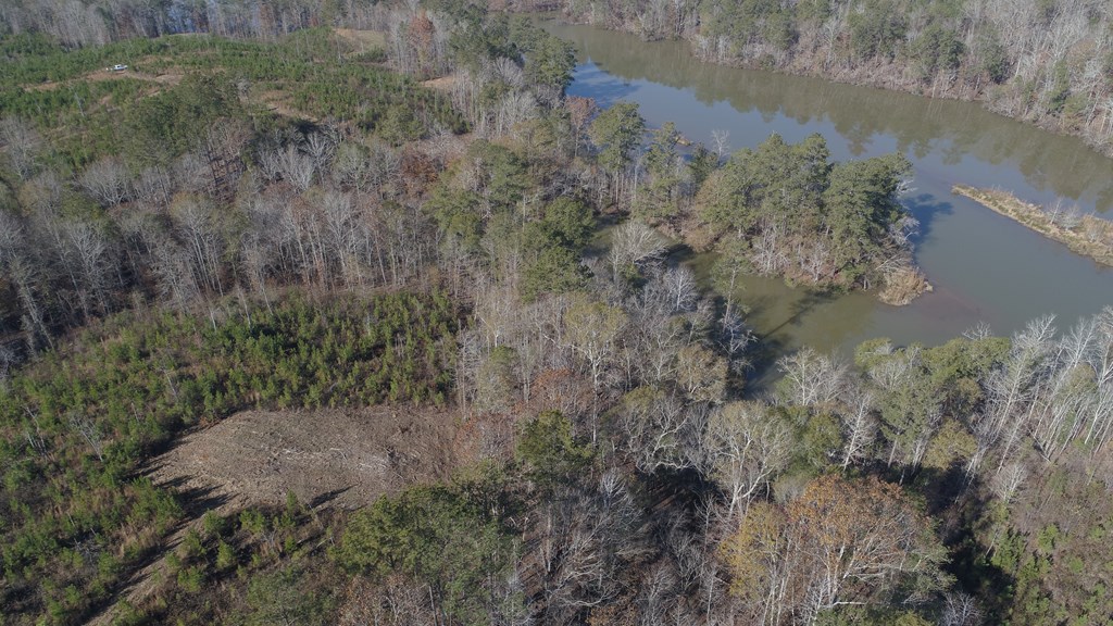 7 Lickskillet Road Hamilton, GA 31811 - Photo 3 of 10
