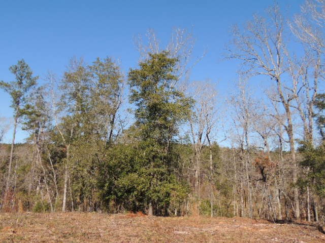 7 Lickskillet Road Hamilton, GA 31811 - Photo 6 of 10