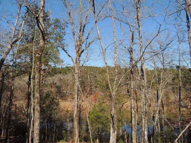 7 Lickskillet Road Hamilton, GA 31811 - Photo 10 of 10