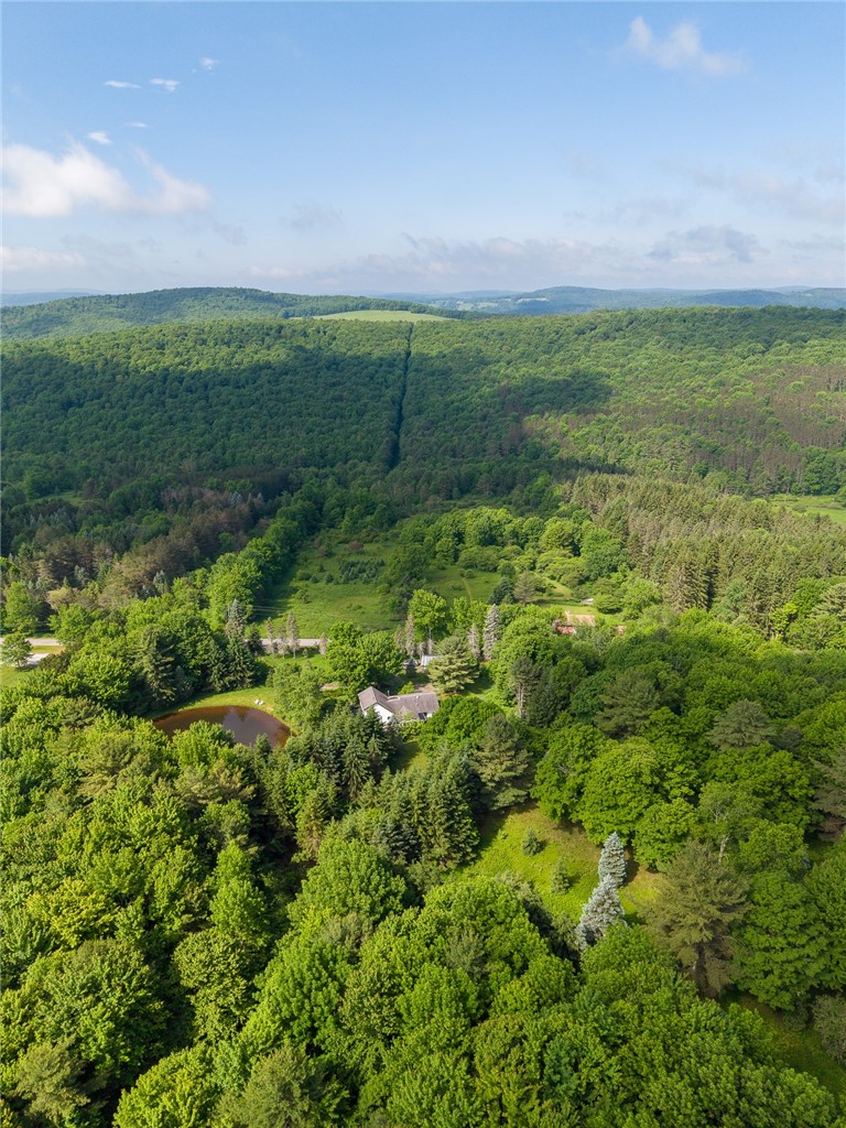 2240 Scotch Hill Road Kortright, NY 13739 - Photo 45 of 49