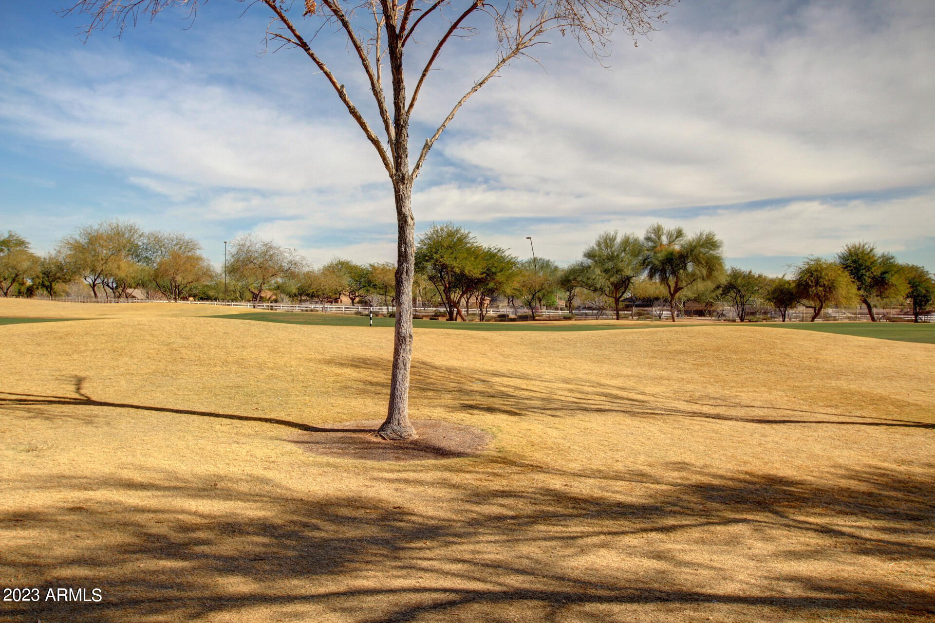4637 East Walnut Road Gilbert, AZ 85298 - Photo 37 of 43 0042-42 - Walnut 4637
