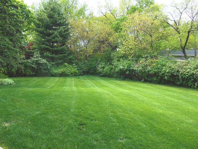 800 Ridgemoor Drive Willowbrook, IL 60527 - Photo 19 of 20