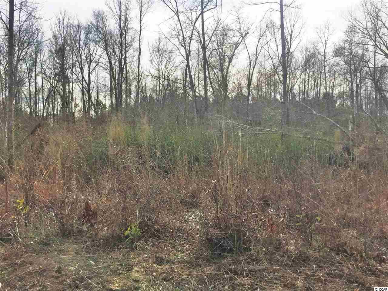 1028 Merritt Road Conway, SC 29526 - Photo 1 of 6 Gallery Image 1