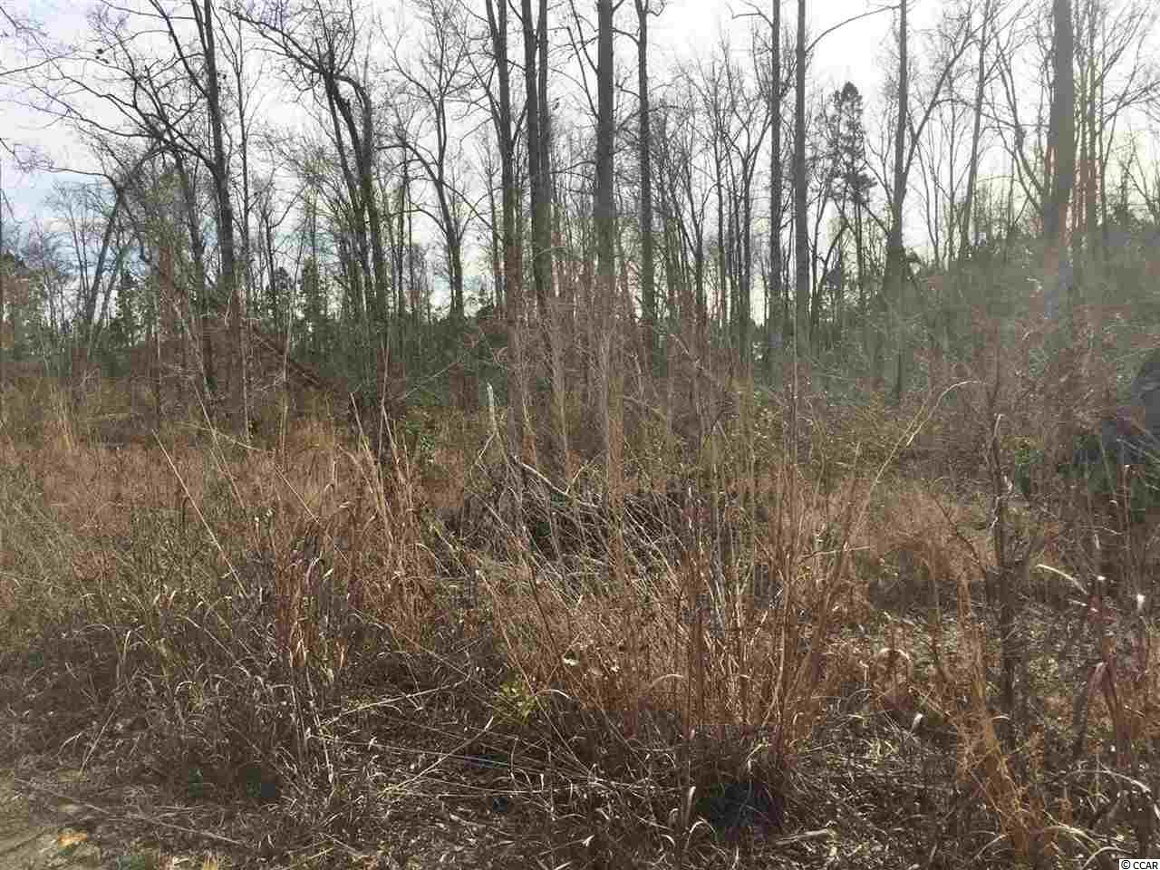 1028 Merritt Road Conway, SC 29526 - Photo 2 of 6 Gallery Image 2