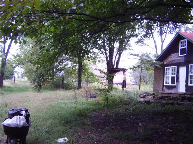 199 Robert Neal Durham Road Bethpage, TN 37022 - Photo 2 of 10 Side Yard with garden stone walkway