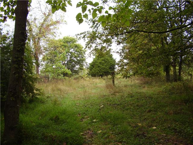 199 Robert Neal Durham Road Bethpage, TN 37022 - Photo 3 of 10 Back Yard Drive