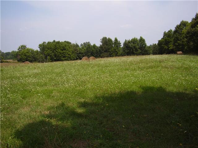199 Robert Neal Durham Road Bethpage, TN 37022 - Photo 9 of 10 Level 4 Acre field/pasture, fenced & ready