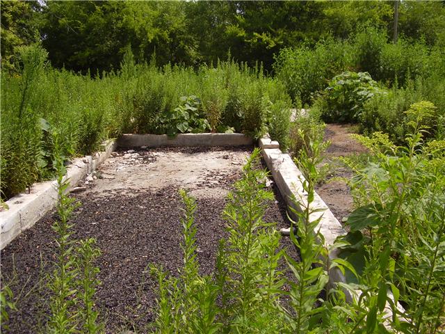 199 Robert Neal Durham Road Bethpage, TN 37022 - Photo 10 of 10 Old barn foundaton, ready for new shed or barn