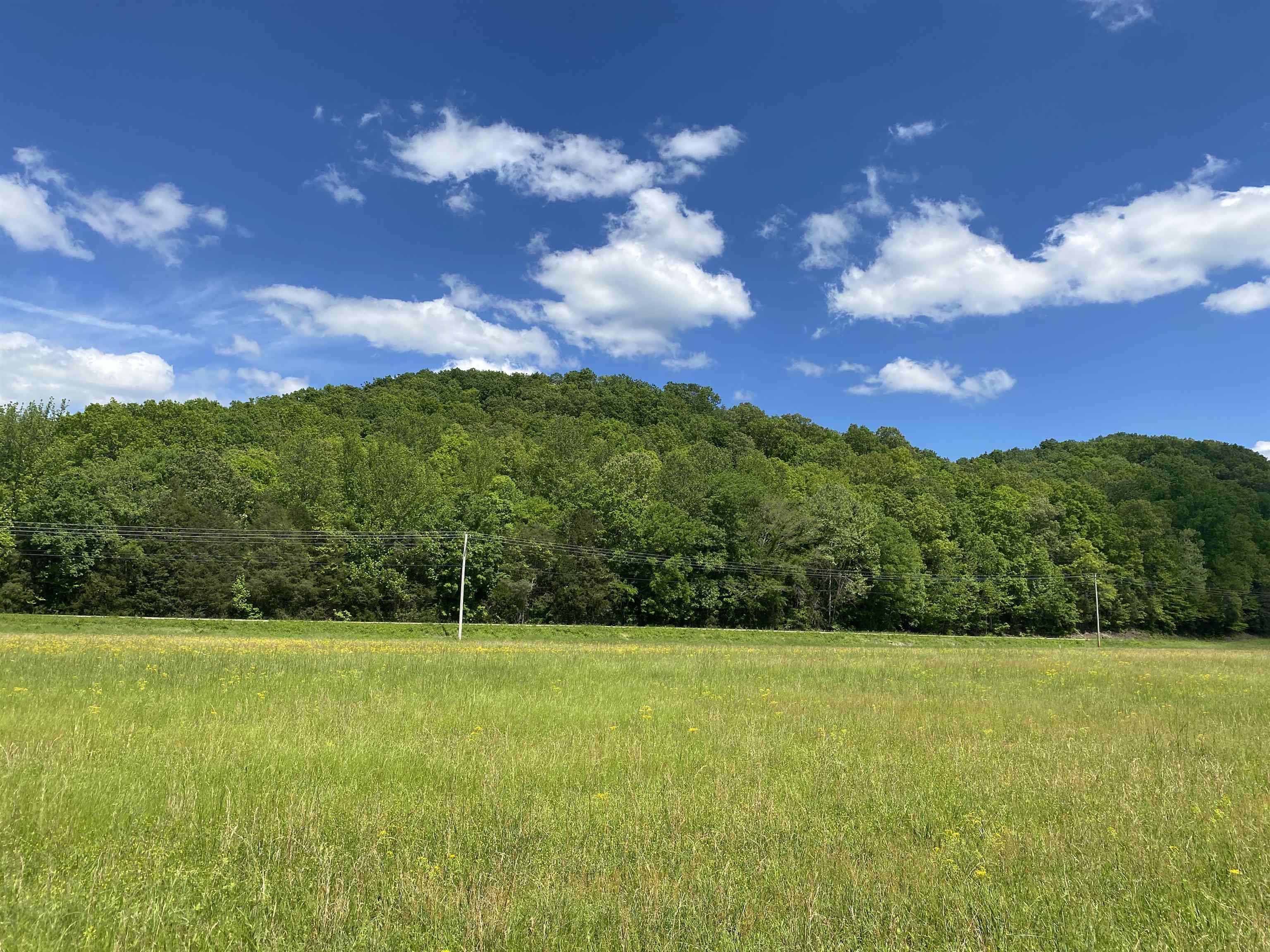 3 Lick Creek Road Linden, TN 37096 - Photo 17 of 38 Gallery Image 17
