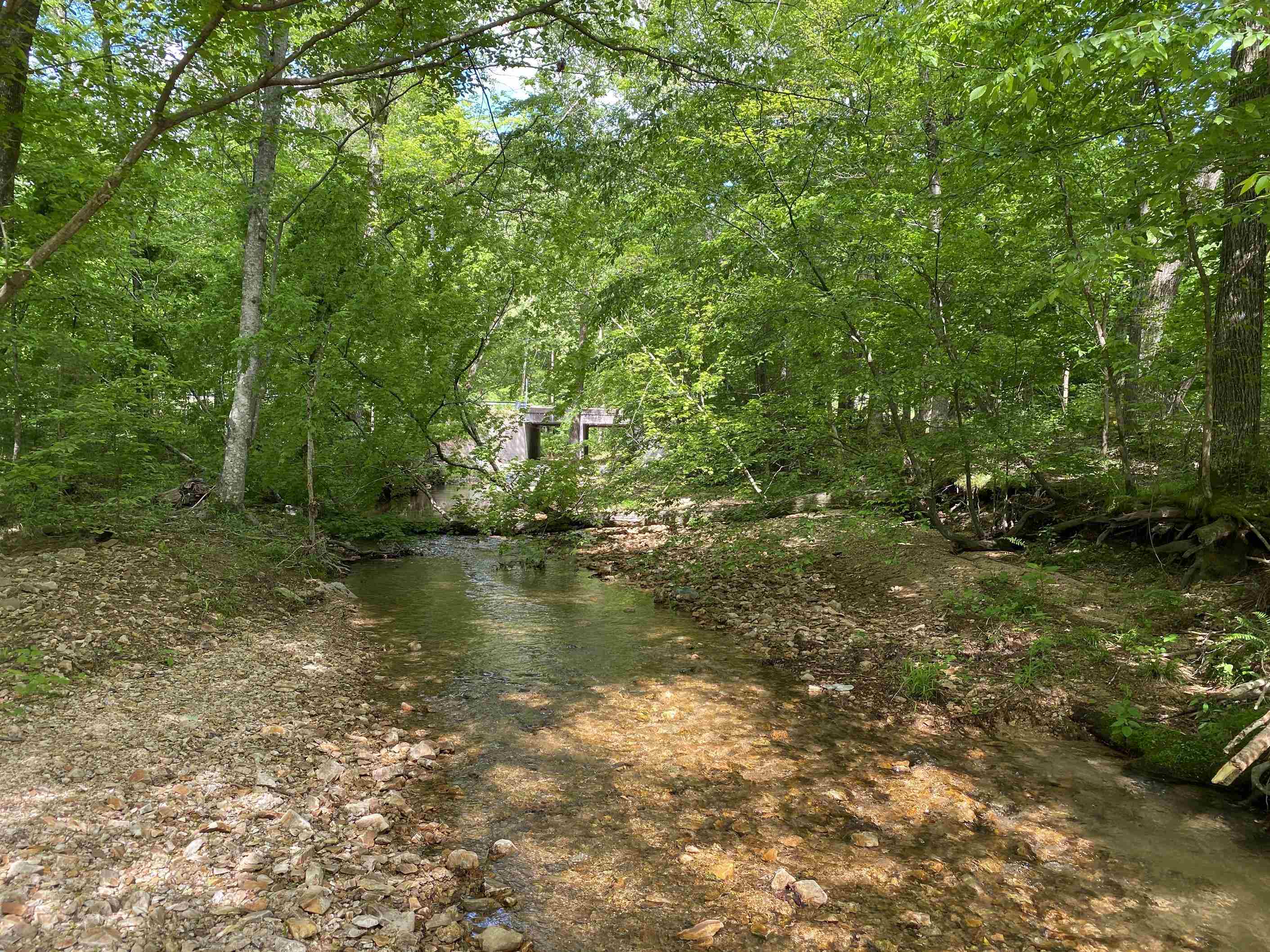 3 Lick Creek Road Linden, TN 37096 - Photo 2 of 38 Gallery Image 2