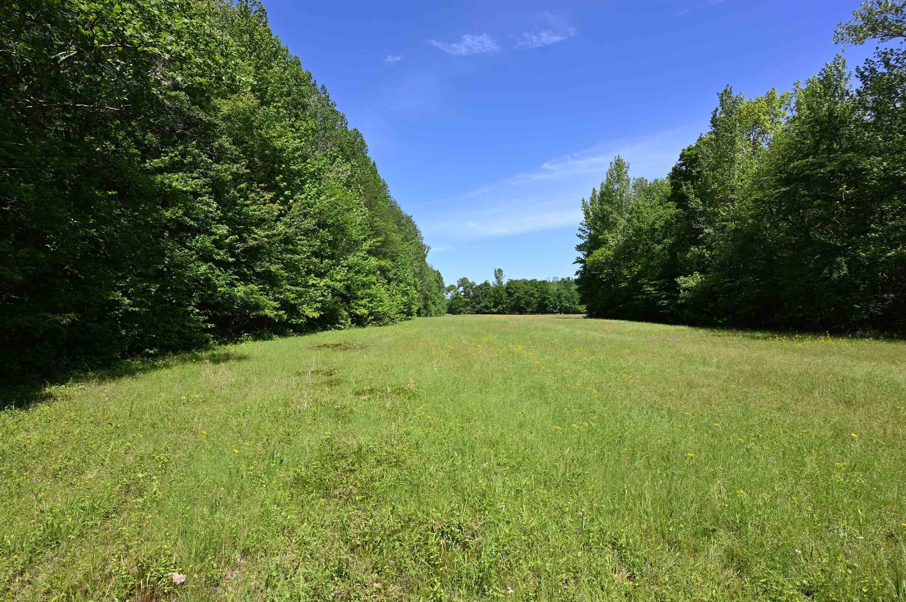 3 Lick Creek Road Linden, TN 37096 - Photo 8 of 38 Gallery Image 8
