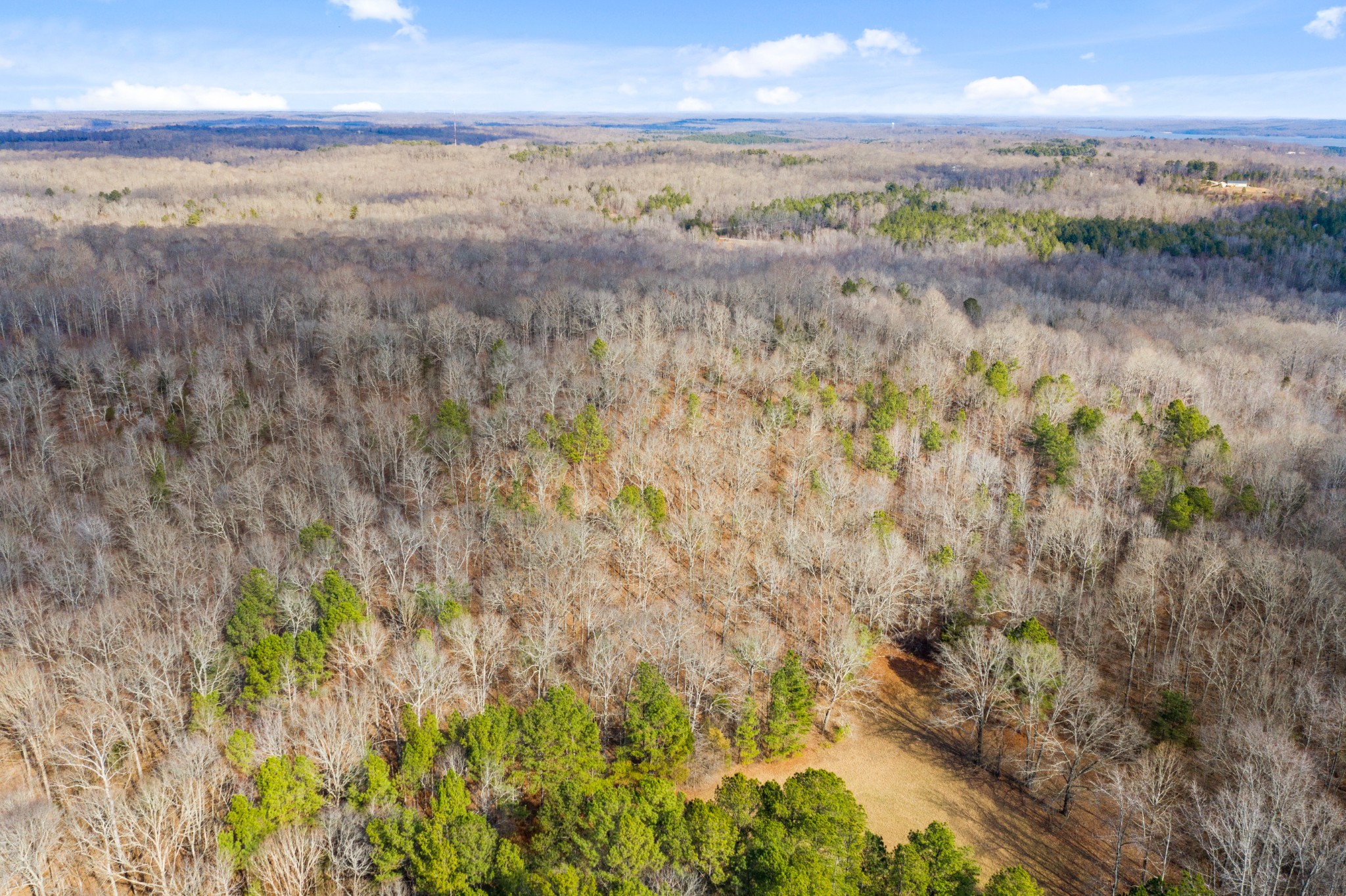 1760 Point Pleasant Road Buchanan, TN 38222 - Photo 13 of 50 a view of beach and ocean