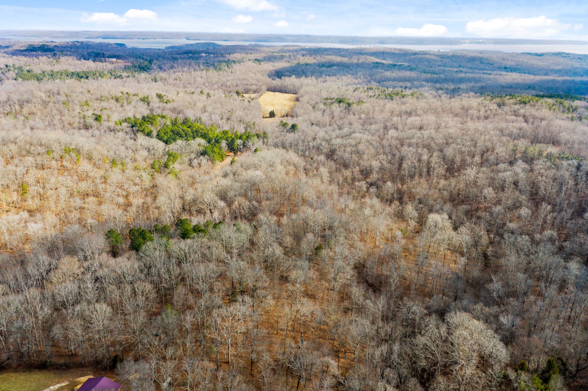 1760 Point Pleasant Road Buchanan, TN 38222 - Photo 42 of 50 a view of beach and ocean