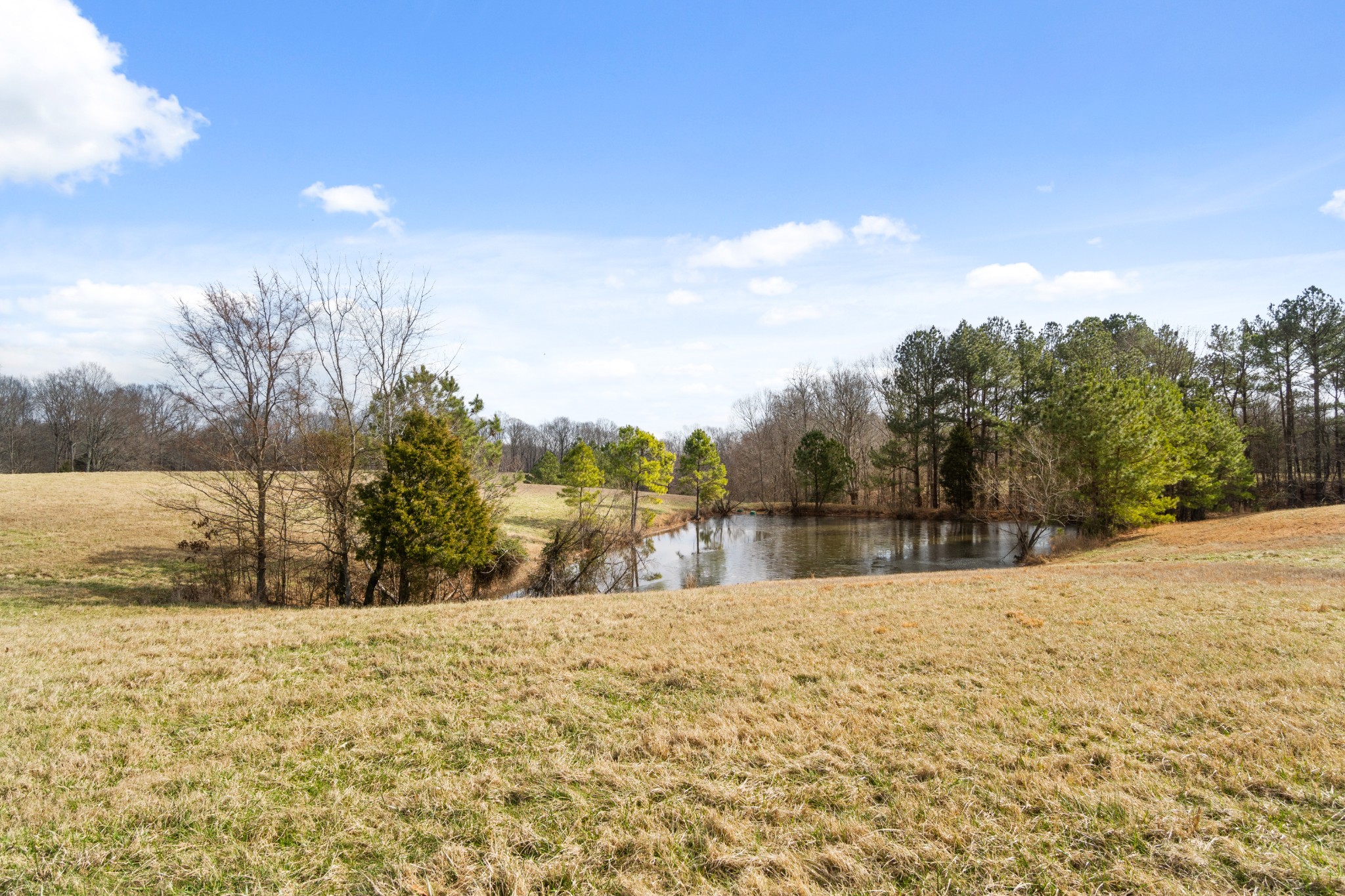 1760 Point Pleasant Road Buchanan, TN 38222 - Photo 44 of 50 a view of large lake with a yard