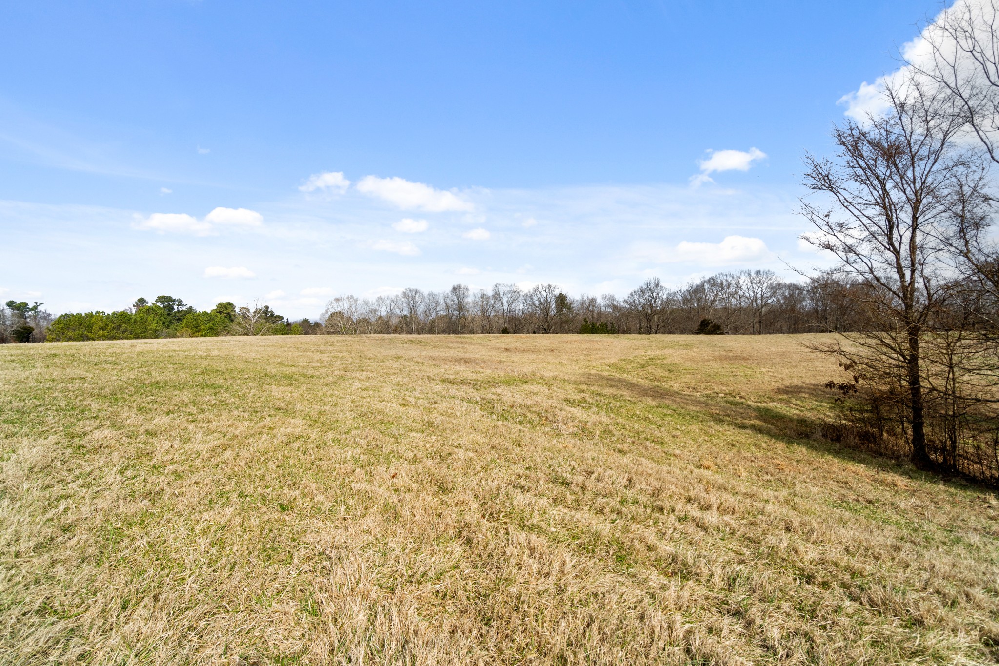1760 Point Pleasant Road Buchanan, TN 38222 - Photo 45 of 50 a view of an ocean and beach
