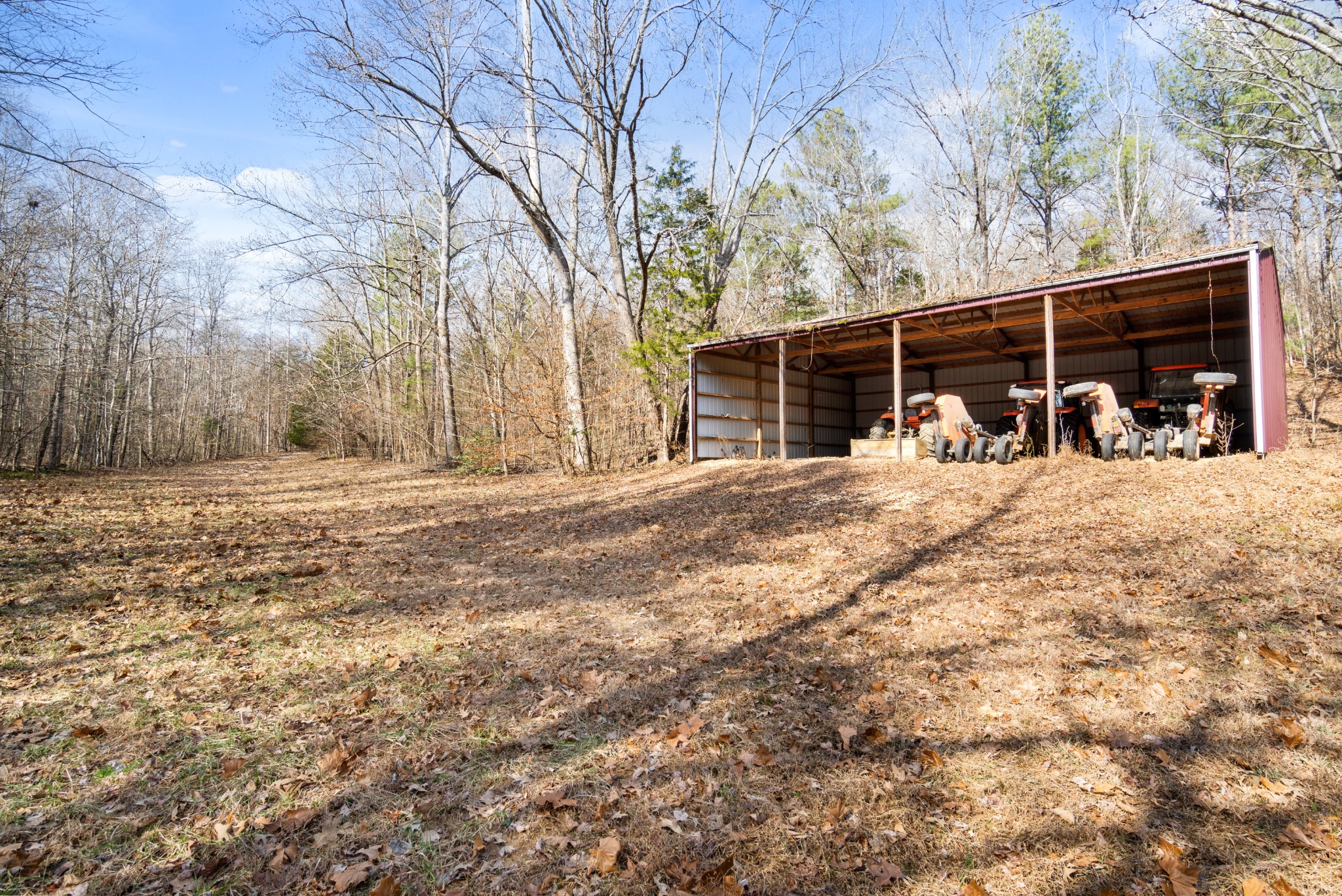 1760 Point Pleasant Road Buchanan, TN 38222 - Photo 46 of 50 a view of a yard with large trees