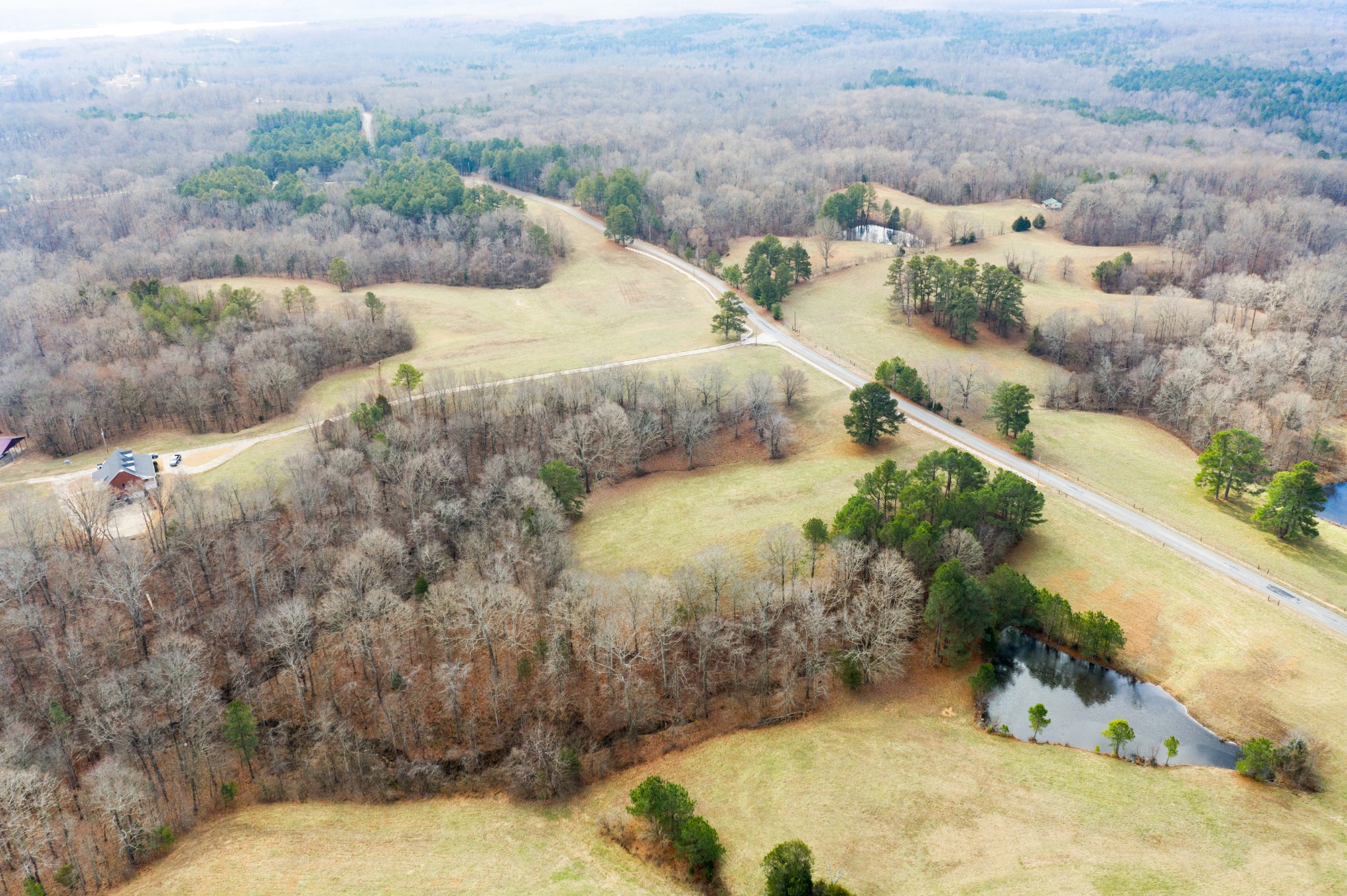 1760 Point Pleasant Road Buchanan, TN 38222 - Photo 7 of 50 a view of a yard
