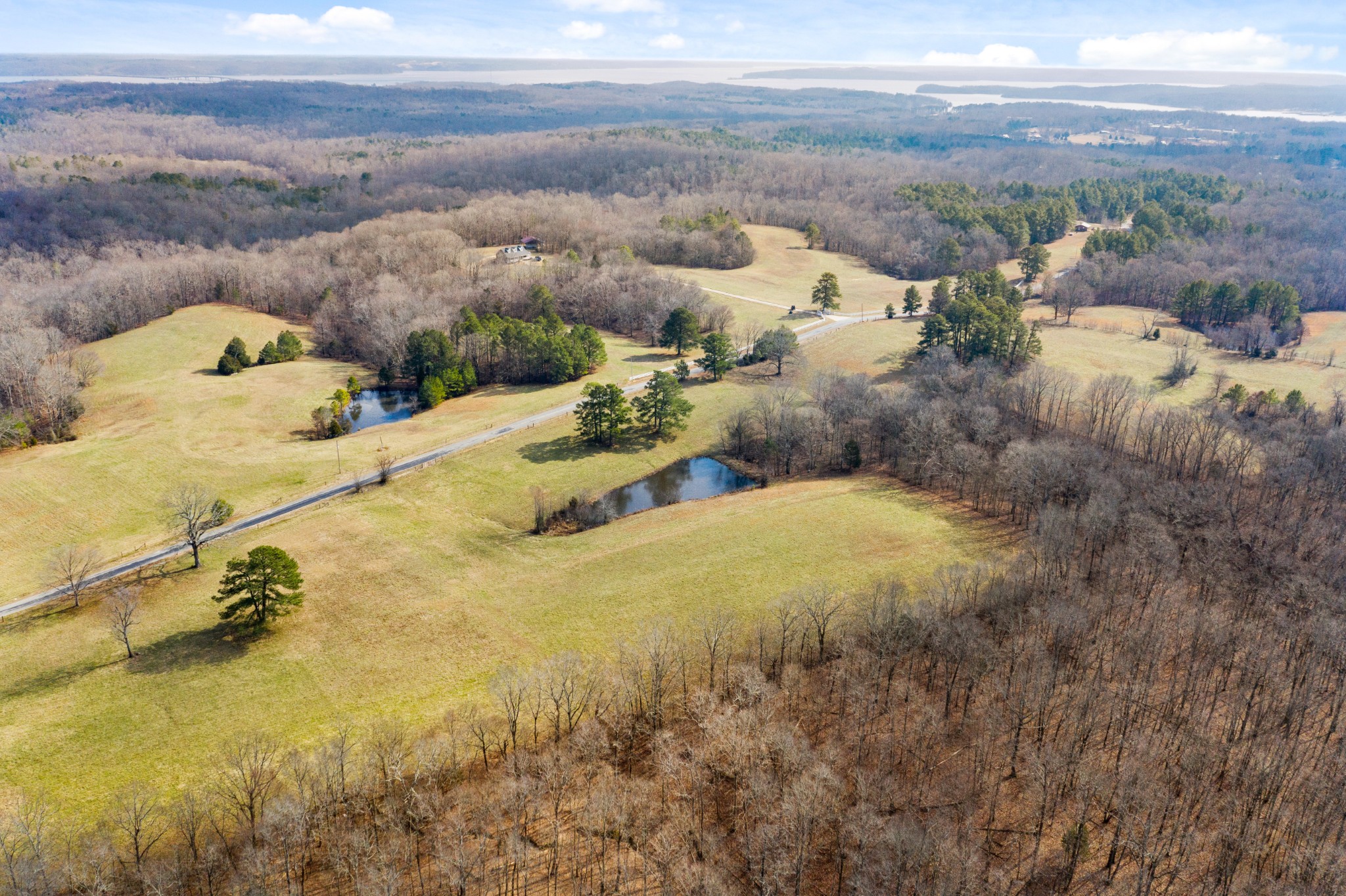 1760 Point Pleasant Road Buchanan, TN 38222 - Photo 8 of 50