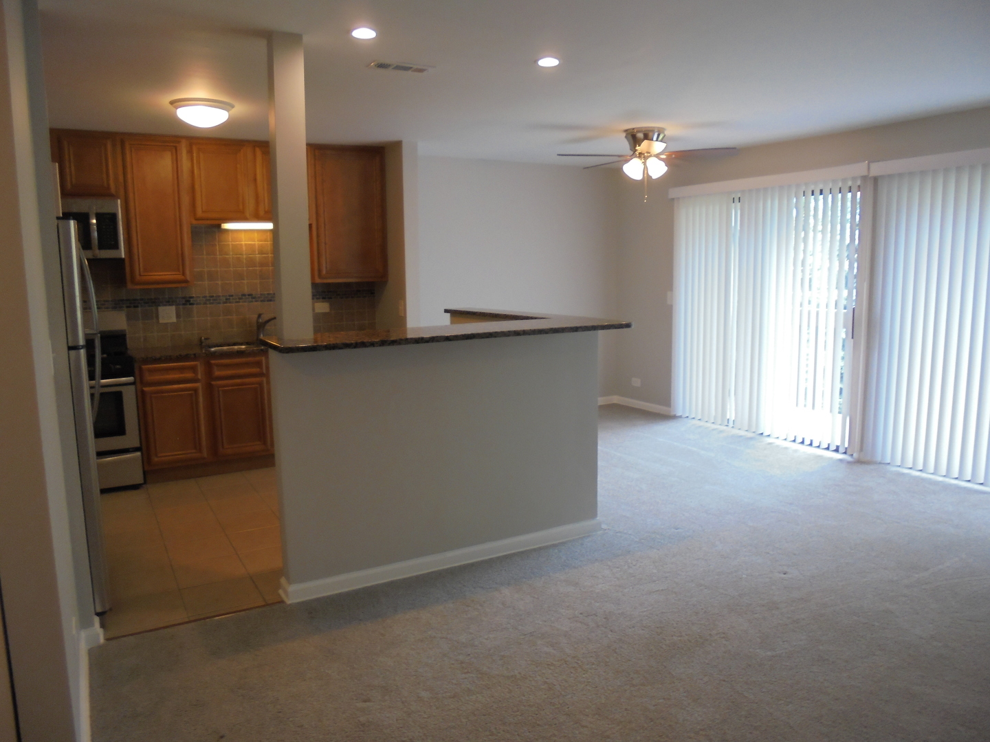 4730 Calvert Drive, Unit C2 Rolling Meadows, IL 60008 - Photo 7 of 29