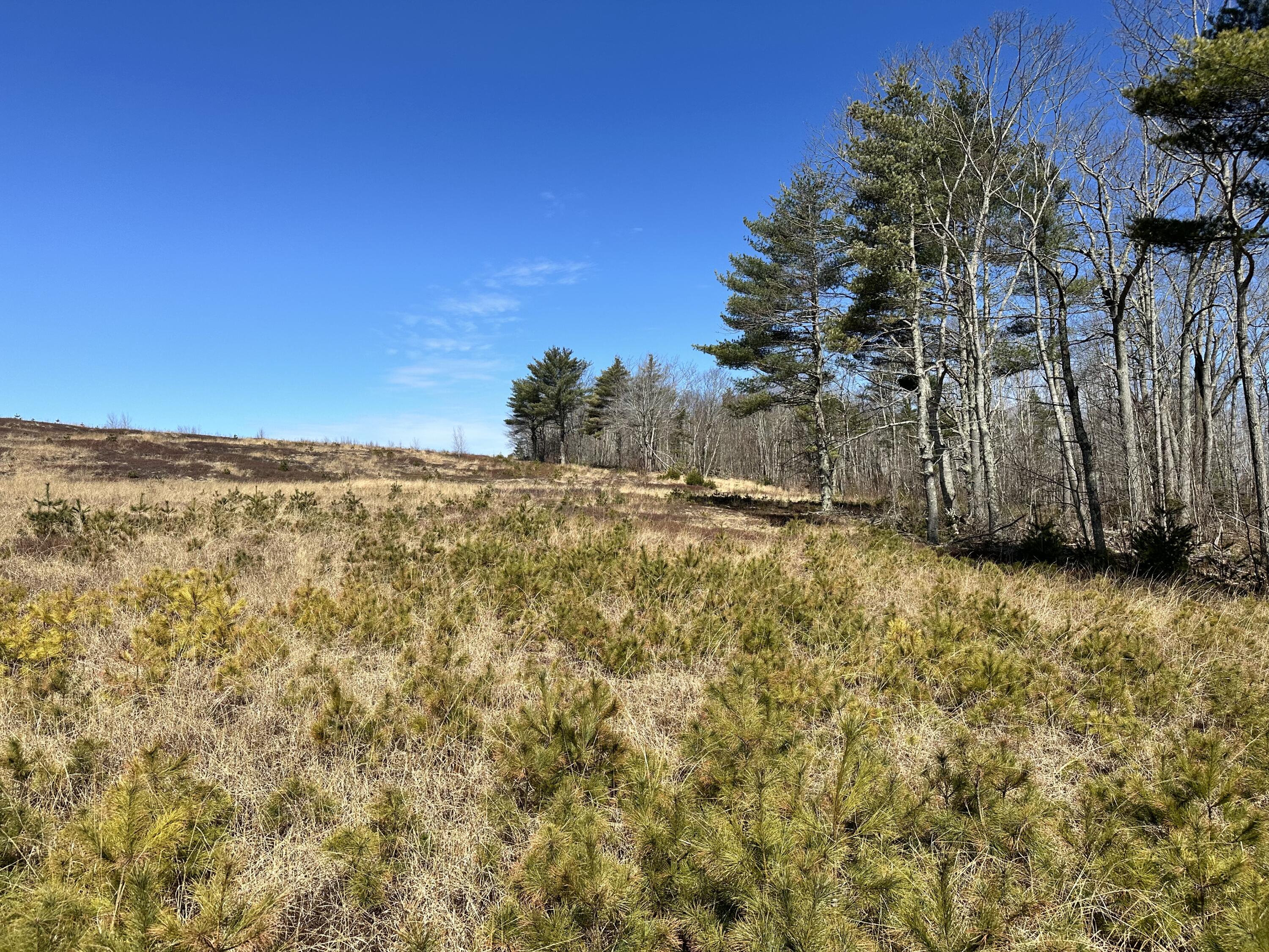 983 Barrett Hill Road Union, ME 04862 - Photo 11 of 38 IMG_8385
