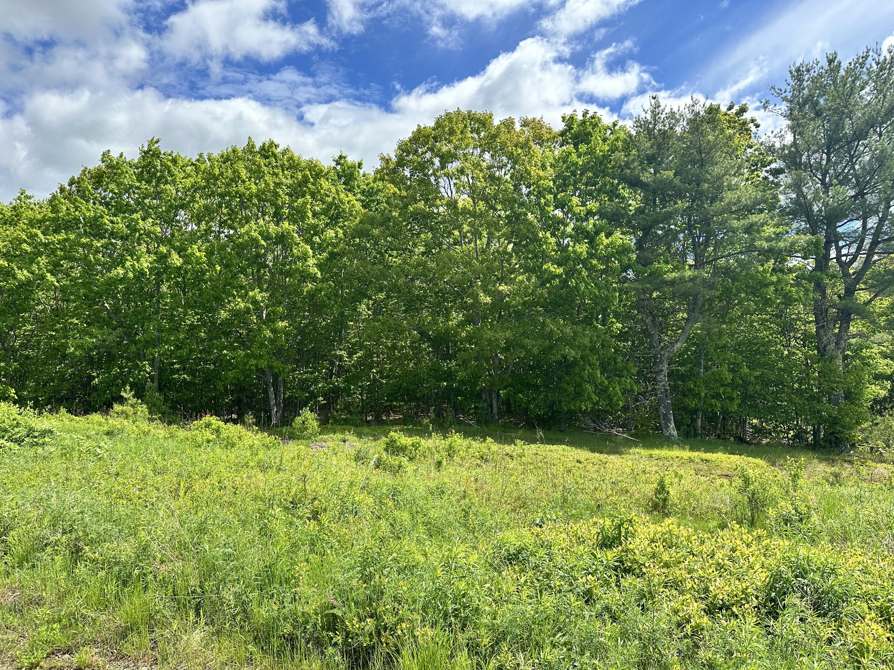 983 Barrett Hill Road Union, ME 04862 - Photo 22 of 38 IMG_9817