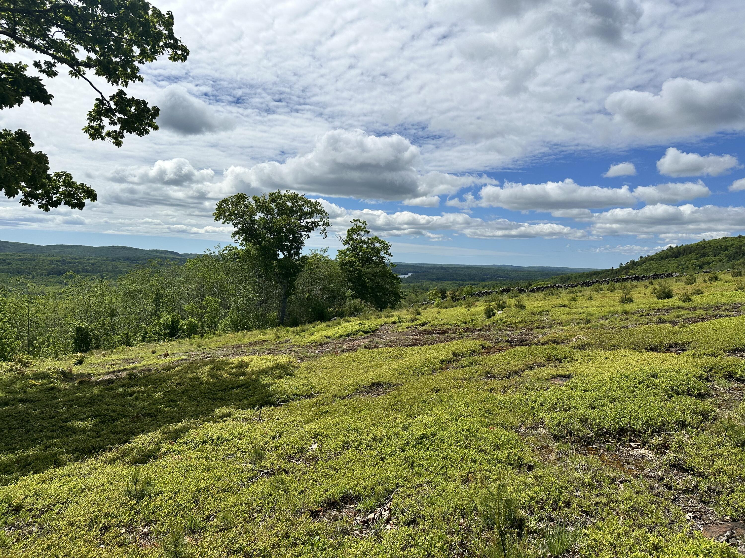 983 Barrett Hill Road Union, ME 04862 - Photo 25 of 38 IMG_9849